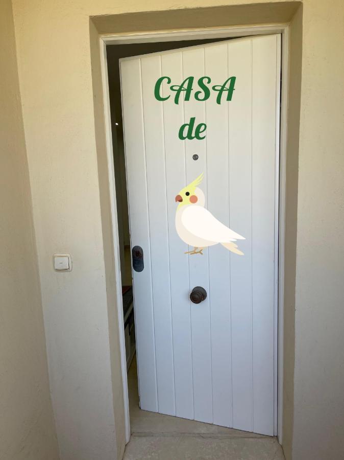 Casa De Loros Apartamento